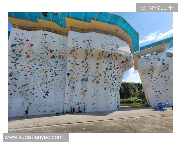 广州攀岩队的反击之路:深度解析攀岩运动的挑战与成长 广州攀岩队的反击之路:深度解析攀岩运动的挑战与成长