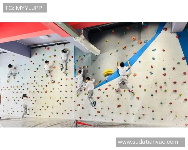 武汉攀岩队勇攀高峰荣获全国攀岩节奏排行榜第八名