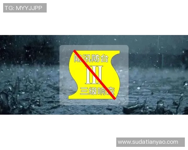 深入分析上海攀岩队盯防策略与战术运用的专业解读