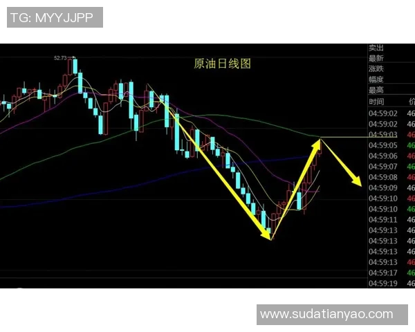 独家解析：杭州篮球队速度优势与对手的全面对比分析