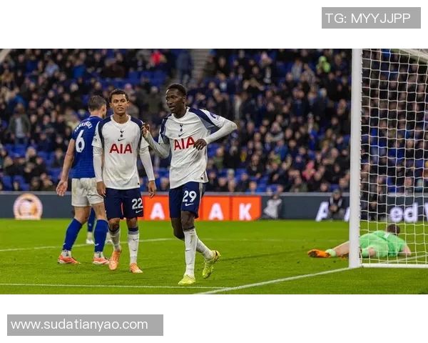 埃弗顿主场迎战热刺双方争夺关键三分的精彩对决