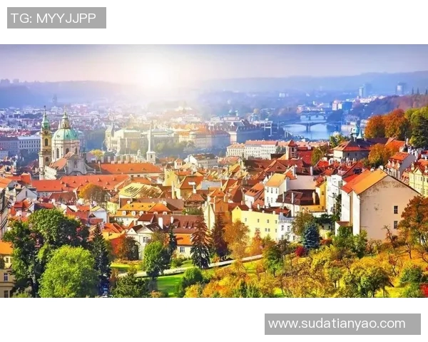 布莱克尼的魅力探寻：揭开这座城市的历史与文化之美