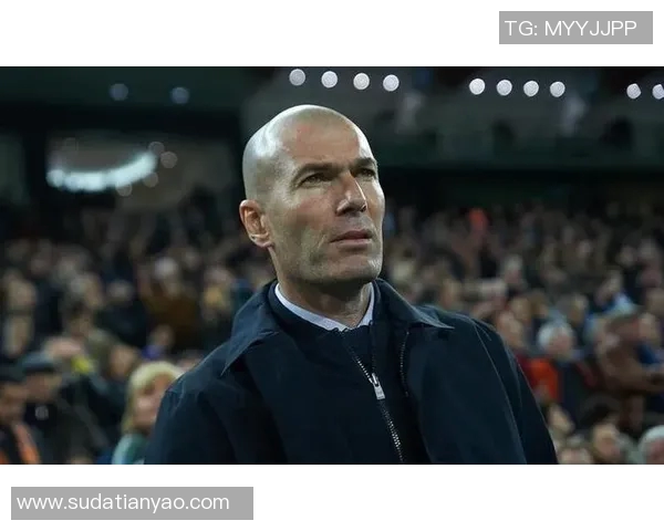 梅加与圣马丁的巅峰对决谁能笑到最后揭开悬念之战的真相