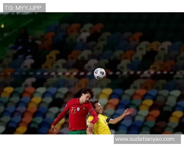 瑞典与法国足球对决竞彩推荐分析及投注策略分享