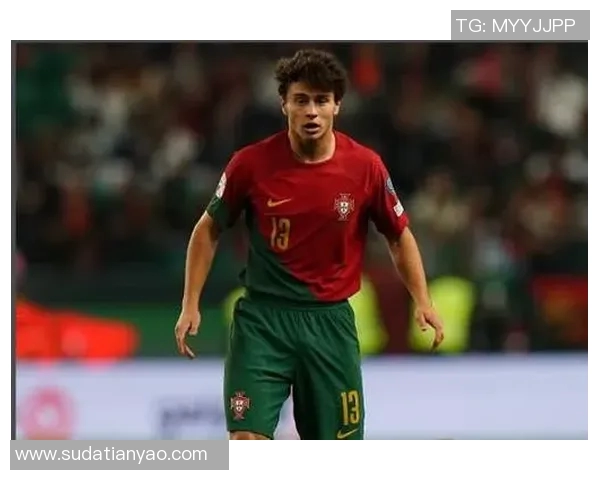 若昂内维斯：从新星崛起到足球世界的璀璨明珠之路