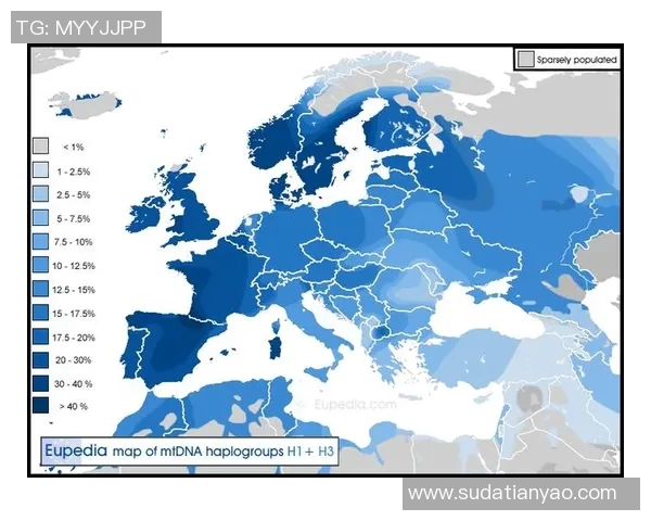 芬兰与匈牙利足球对决前瞻及比分预测分析详解