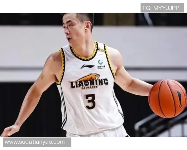 赵继伟：从青涩新星到国家队核心的成长之路与未来展望