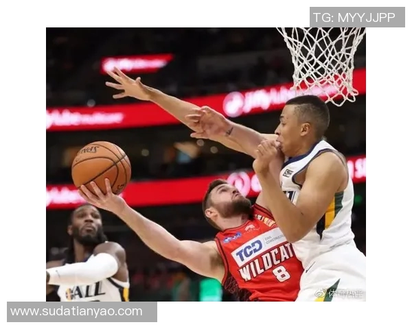 野猫对决36人精彩比分揭晓赛场瞬间引发热议