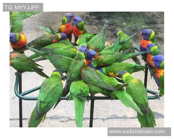 黄娜的滑板人生：在城市街头与梦想深度对话的旅程